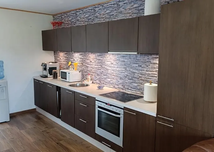 Dom wakacyjny Sepa Puhkemaja Parnawa